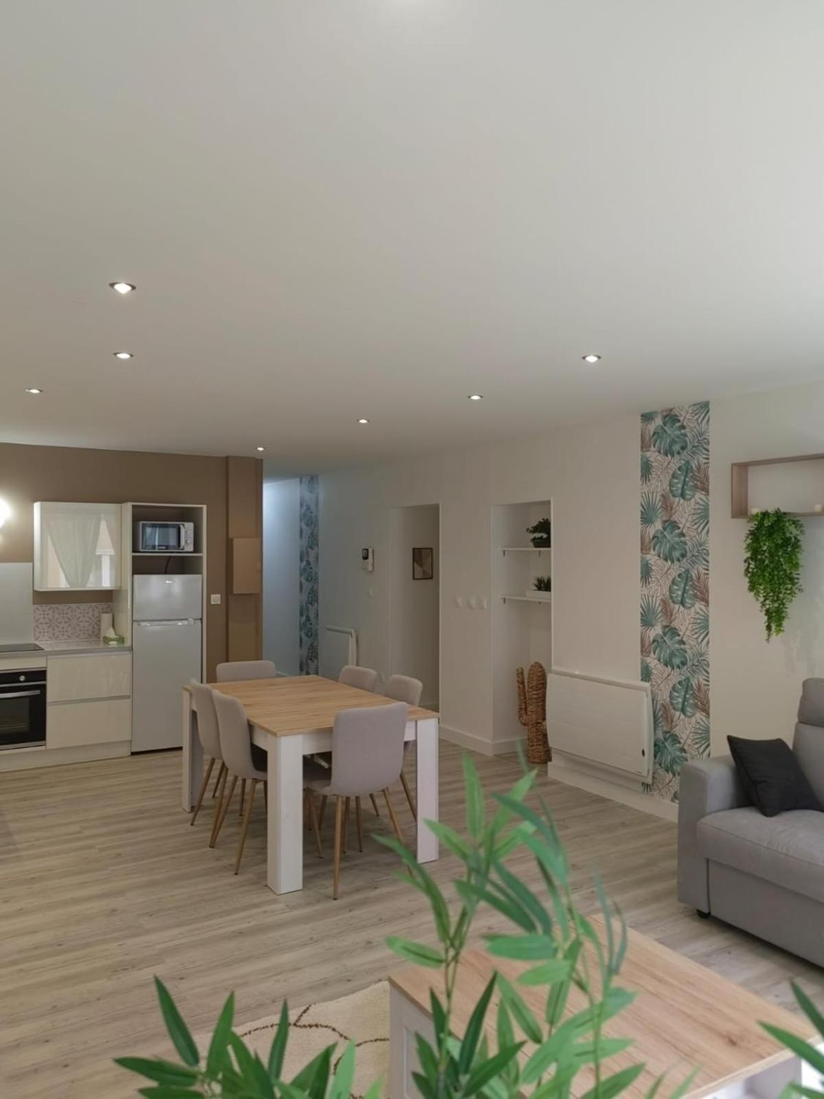 Bel Appartement Bord Du Rhone Valence  Zewnętrze zdjęcie