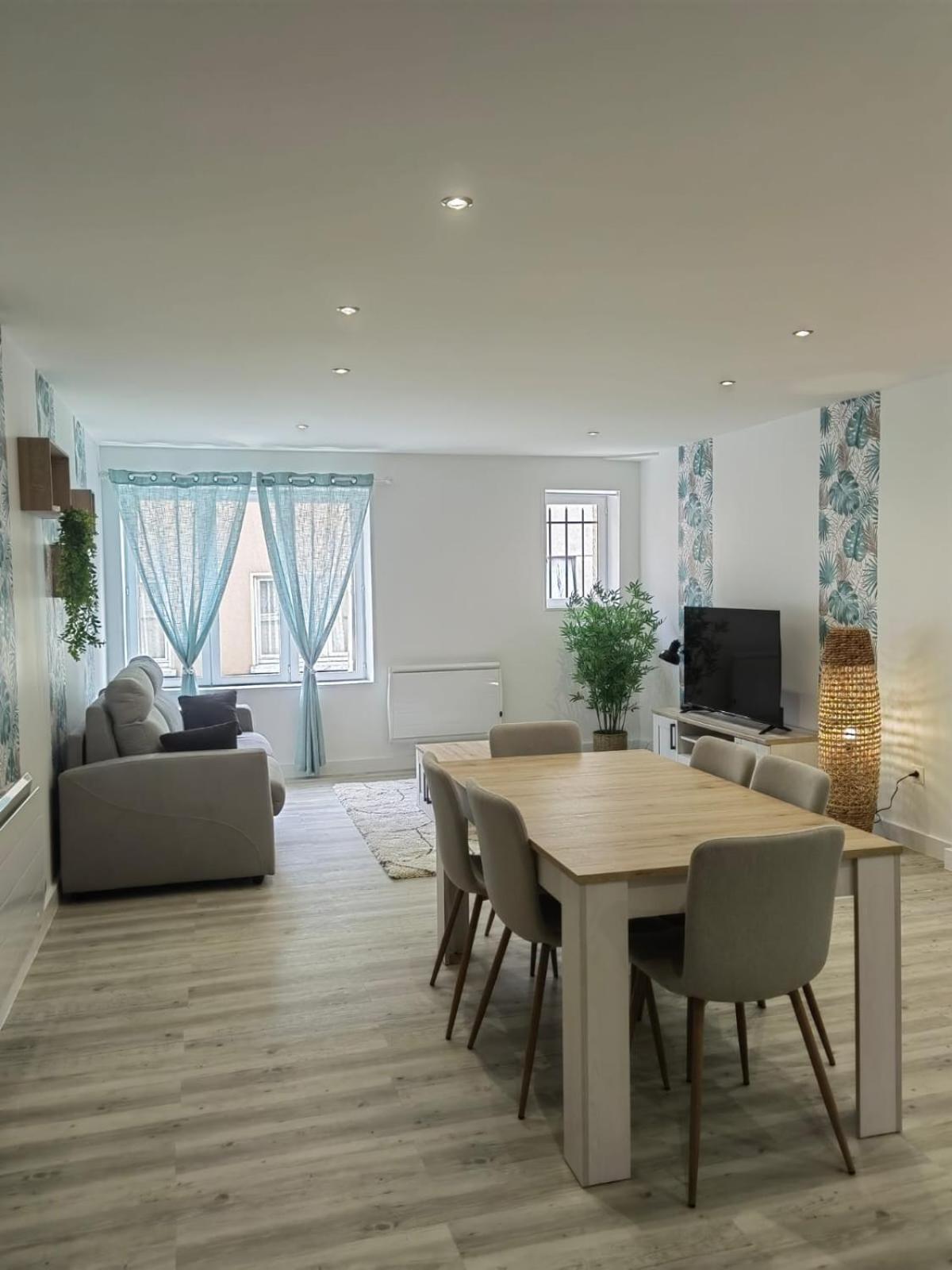Bel Appartement Bord Du Rhone Valence  Zewnętrze zdjęcie